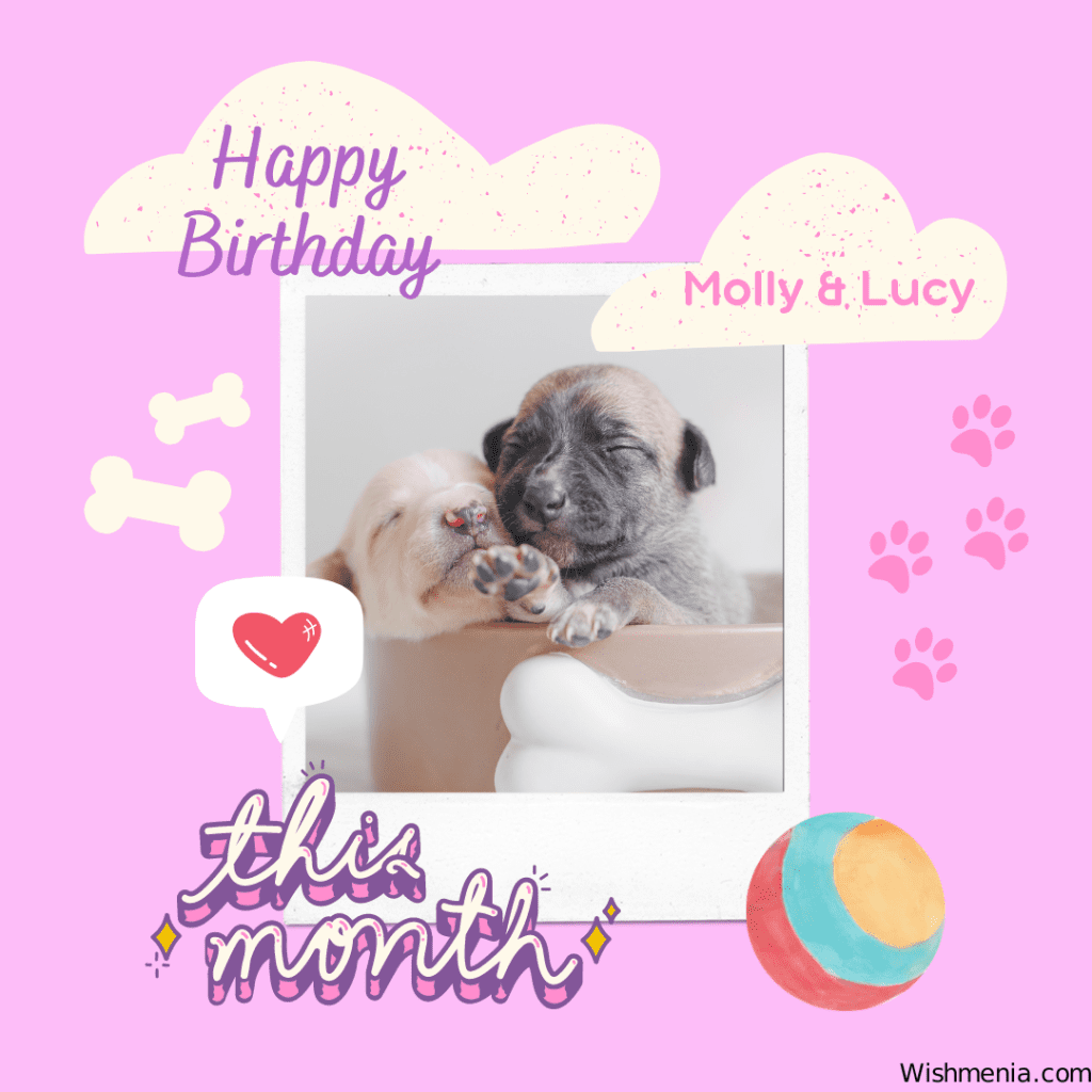dog lover birthday wishes